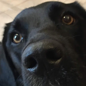 Meet your Posher, Carly